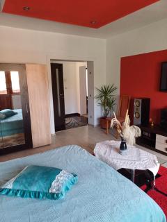 Apartament cu terasa la casa Elena - 0