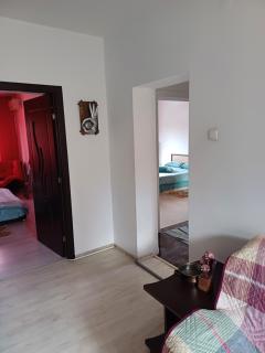Apartament cu terasa la casa Tina - Timişoara - 1