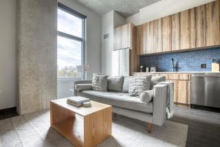 Blueground West Loop rooftop dog wash nr L CHI-1059 - 0