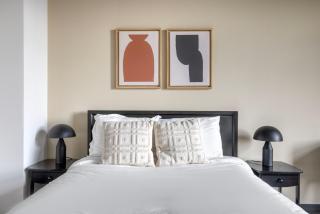 Blueground West Loop rooftop dog wash nr L CHI-1059 - 3