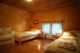 River House Mojstrana - 3