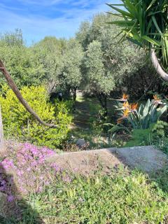 Casa Maga - Arzachena - 7