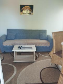 Apartman Sokobanja Borići - 6