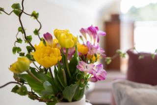 Ferienwohnung Dünenrose - 8