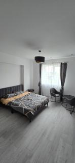 Camera de Inchiriat in Rin Grand Hotel - Bucharest - 9