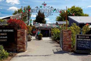 Gardeners' Cottage - Hamilton - 7