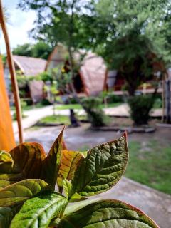 We'Be Cottages - Gili Meno - 5