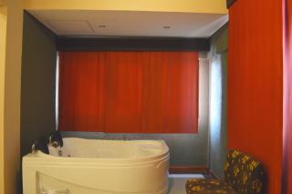 Aspen Hotel & Apart - 4