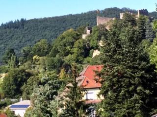 Vogesen-Wohnung mit Balkon 2-Zi-Fewo 67qm mit herrlichem BurgVogesen-Blick neben Schlosspark Nahe - Badenweiler - 1