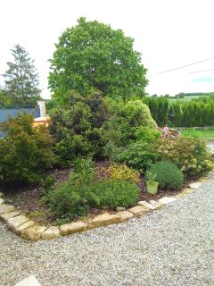 Modern one bedroom cottage - - 1