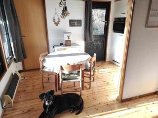Ferienhaus in Kellenhusen mit Eigener Terrasse - Kellenhusen - 8