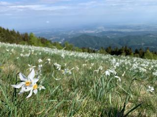 Bielmonte Appartamenti - 5