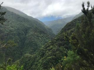 Ferienwohnung für 8 Personen ca 120 m in Canico, Madeira Südküste von Madeira - Levadas - 5
