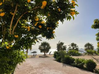 One bedroom in the view - 9