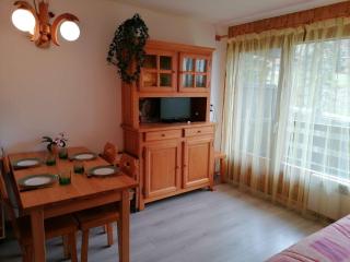 Appt cozy 5 pers, 300m pistes, parking, animaux admis - FR-1-241-164 - Le Grand-Bornand - 0