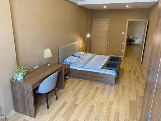 One bedroom Heydar Aliyev building 9-8 - Baku - 9