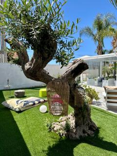 affittacamere Villa Masá - 3