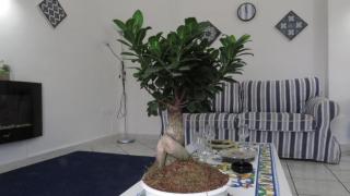 BlueMind Freedom - Tropea - 7