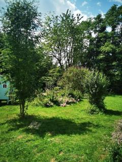 Cosy two rooms in nature - Graz - 9