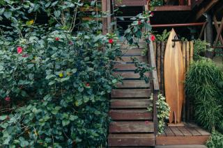 Luxury Villa Rainforest Estate Natural Swim Pond - Bocas Town - 5