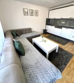 Apartman Lara Laktasi - Laktaši - 8