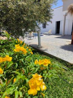 Villa meublée à Djerba - Taguermess - 3