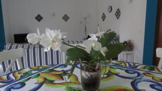 BlueMind Freedom - Tropea - 0