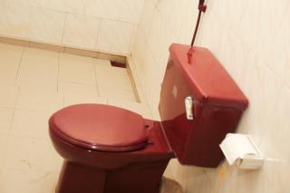 Airport HOSTEL 22 CHURCH ROAD - Katunayaka - 6