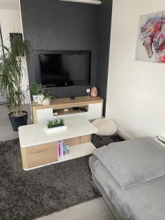 Appart cosy 4 à 6 pers - parking privé - 5 min Colmar - poêle à pellets - 2 terrasses - 6