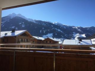 Venediger-Chalet - 3
