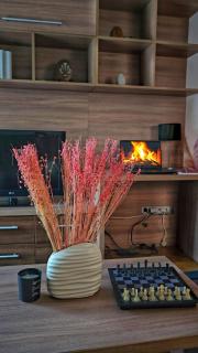 Apartman Jovanovic - Vrnjačka Banja - 8