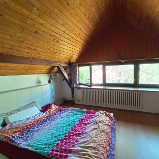 In-the-middle-of-Nature Spacious Nest Brandenburg Airport - 6