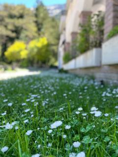 Hotel Alpin Llogara - 6