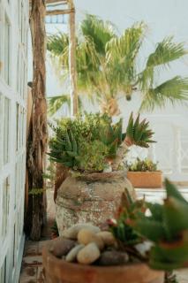 Riad Baladin - Essaouira - 6
