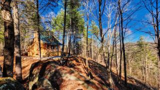 Luxury Mountain View Cabin Near Asheville NC - 7
