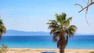 Potidaia Elegant Summer House - Nea Potidaea - 5