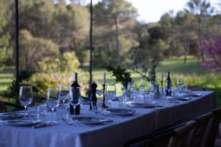 Domaine Les Vaches - Cotignac - 4
