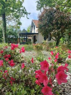 Maison Bel Air - Moliets-et-Maa - 0