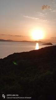 Porto Cervo località Cala del Faro. Affitto bilocale con portico e giardino. - 1