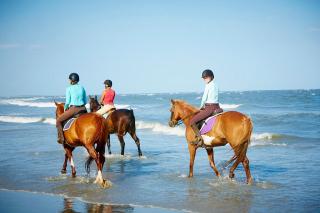 1316 Pelican Watch Villas Seabrook Island SC - Seabrook Island - 1