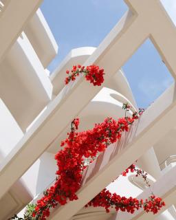 Aegean Blue Beach Hotel - Nea Kallikratia - 8