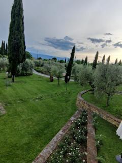 La Casa delle Rose - Terranuova Bracciolini - 6
