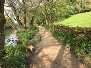 River Airebnb - Bradford - 3