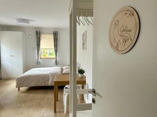 Apartment Gallus - Bled - 9