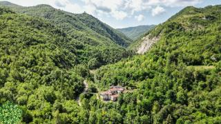 Le Macine del Perino - Bettola - 9