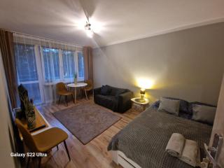 Apartament Wapienna - Łódź - 9