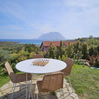 Villa Cactus, Costa Corallina, Porto San Paolo - 1