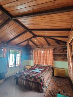Mt.Narsing Village Resort - Ravangla - 7