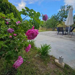 Harmony Home Agria - Agria - 4
