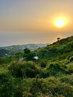 Tenuta Le Maria al Monte Sole - Ischia - 4